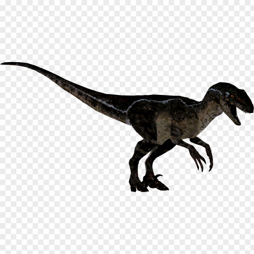 Jurassic Park Zoo Tycoon 2: Marine Mania Velociraptor Tycoon: Dinosaur Digs Extinct Animals Tyrannosaurus PNG