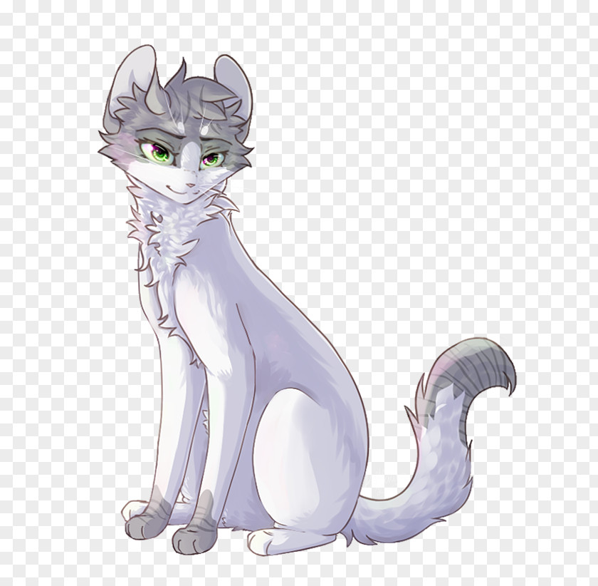 Kitten Whiskers Tabby Cat Art PNG