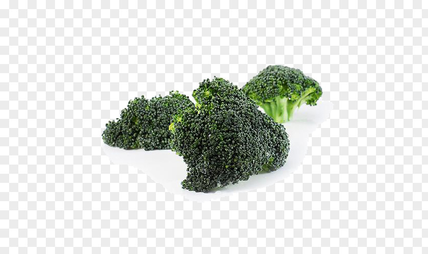 Organic Vegetable Broccoli Kale PNG