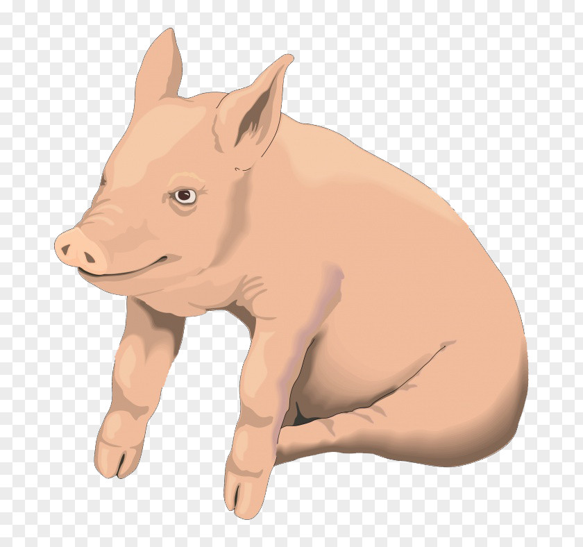 Cartoon Pig Domestic Roast Clip Art PNG