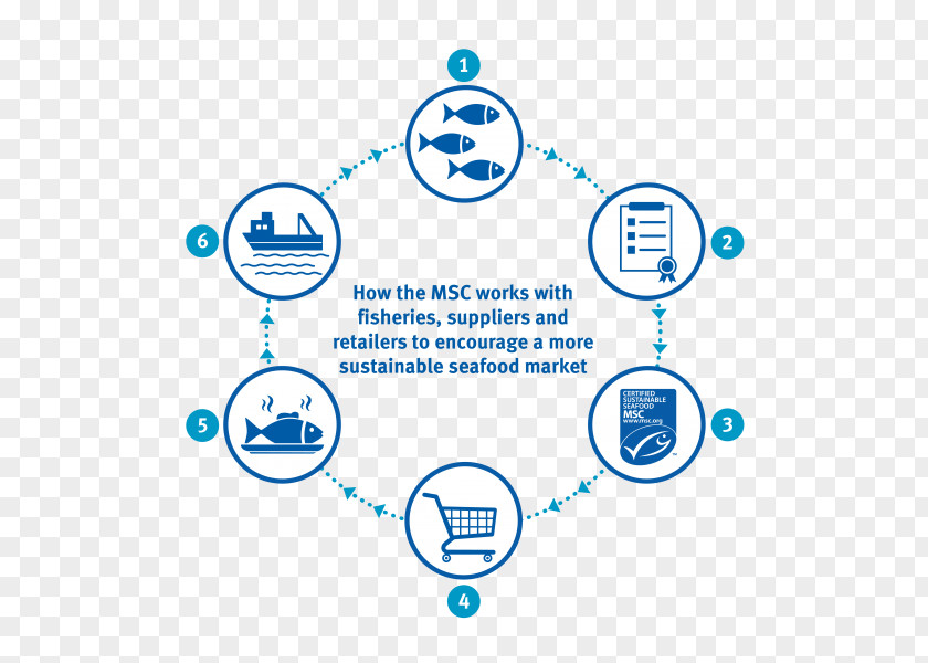 Consumer Behaviour Marine Stewardship Council Sustainable Fishery Sustainability Seafood Fishing PNG