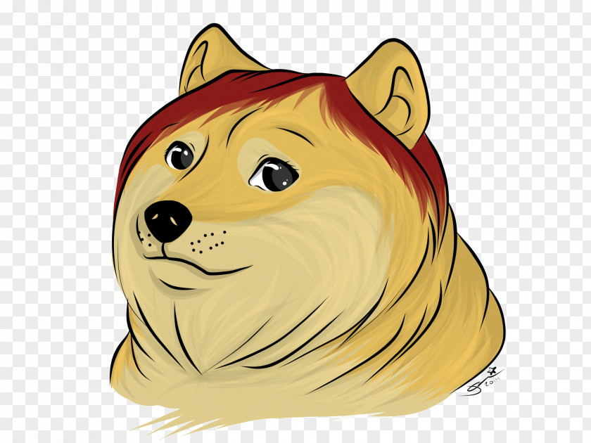 Dog Whiskers Cat Bear PNG