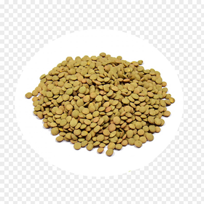 Fava Lentil Dal Vegetarian Cuisine Legume Bean PNG