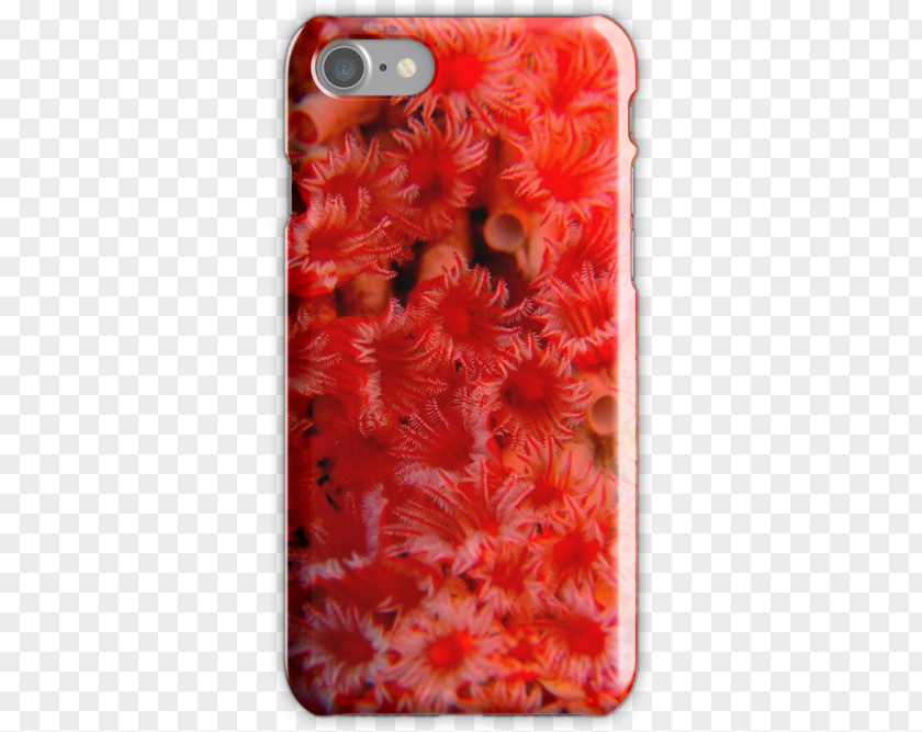 Giant Tube Worm Organism Mobile Phone Accessories RedTube Phones IPhone PNG