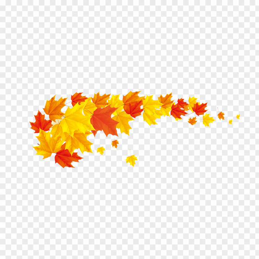 Maple Leaf Autumn Color Banner Clip Art PNG