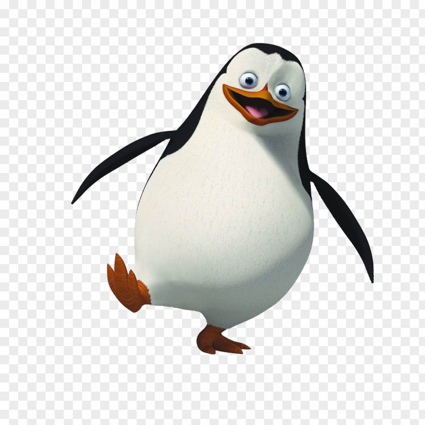 Penguin Skipper Rico Madagascar Clip Art PNG