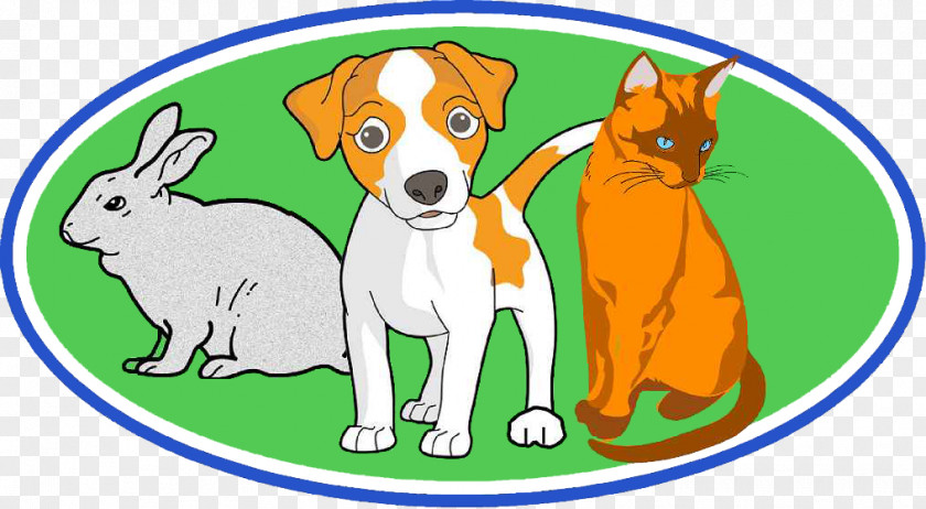 Puppy Lucan Animal Hospital Dog Cat Clip Art PNG
