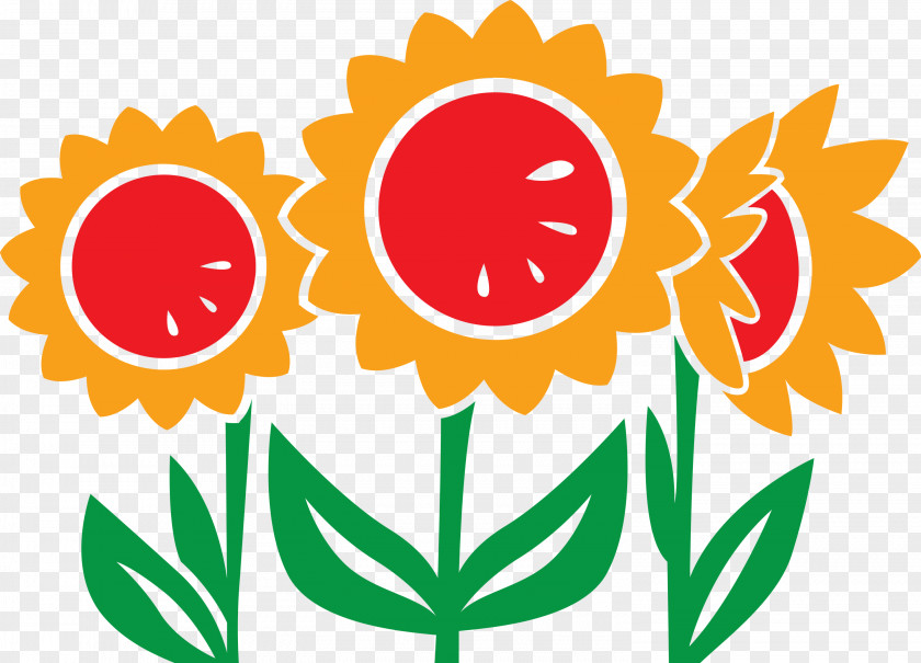 Sunflower Summer PNG