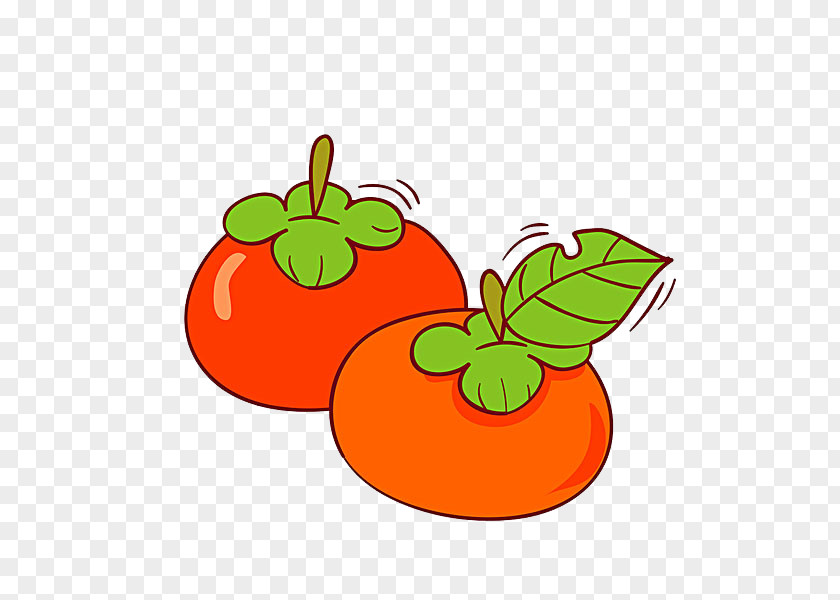 Tomato Vegetable Illustration PNG