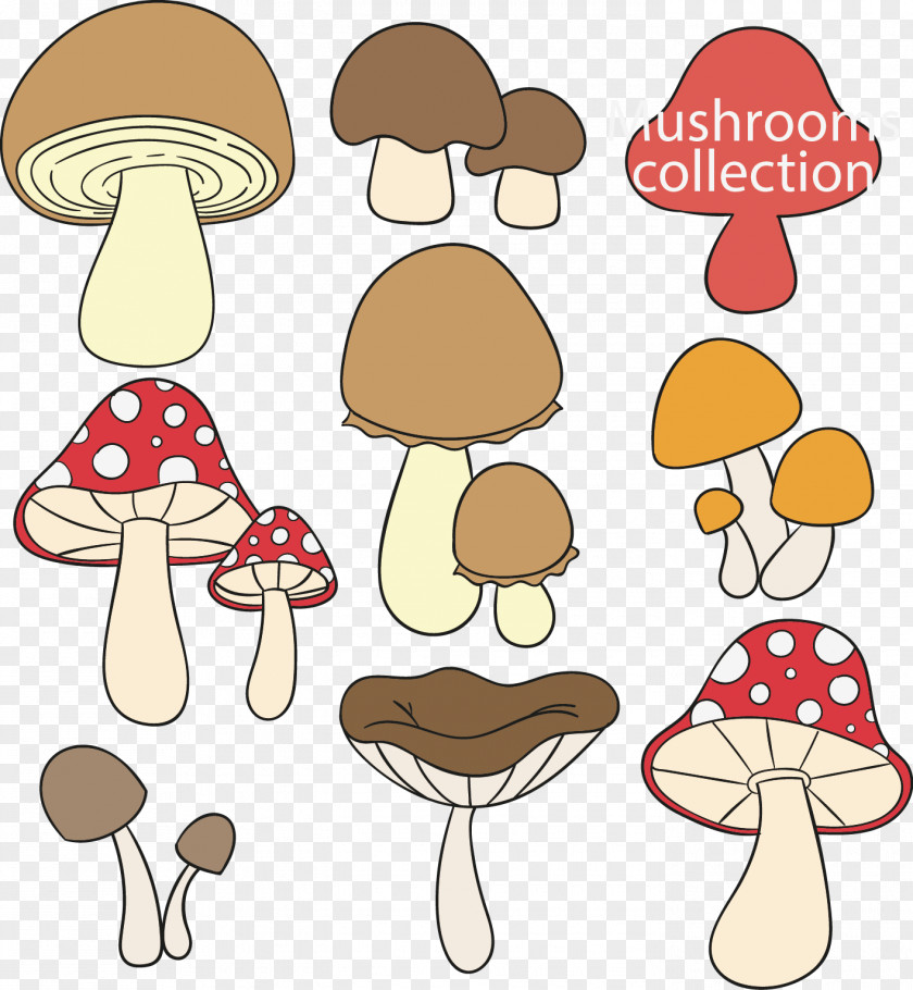 Vector Hand-drawn Cartoon Mushroom Fungus Edible Drawing PNG