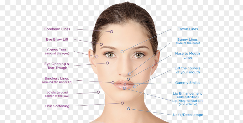 Aesthetics Cosmetics Facial Surgery Rhytidectomy Aesthetic Medicine PNG