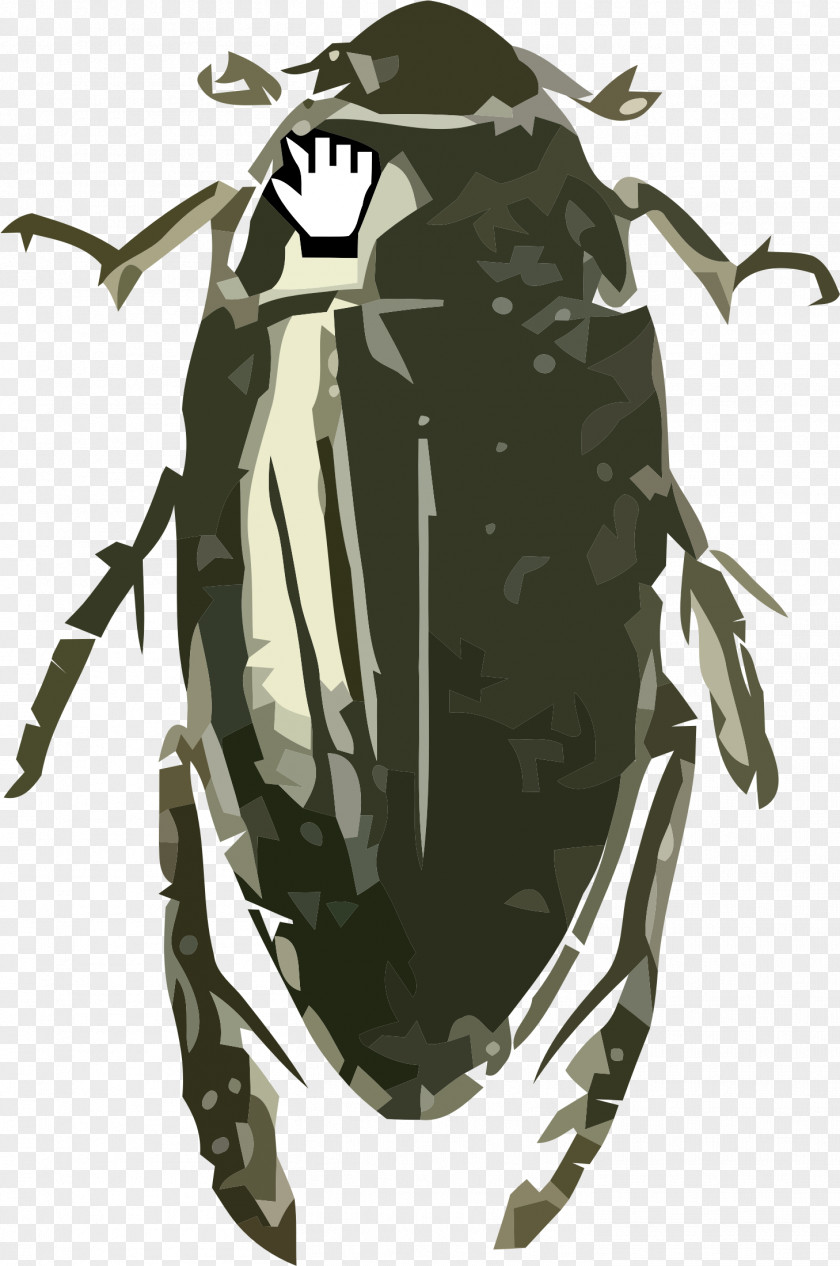 Beetle Hydrophilus Triangularis Grasshopper Image PNG