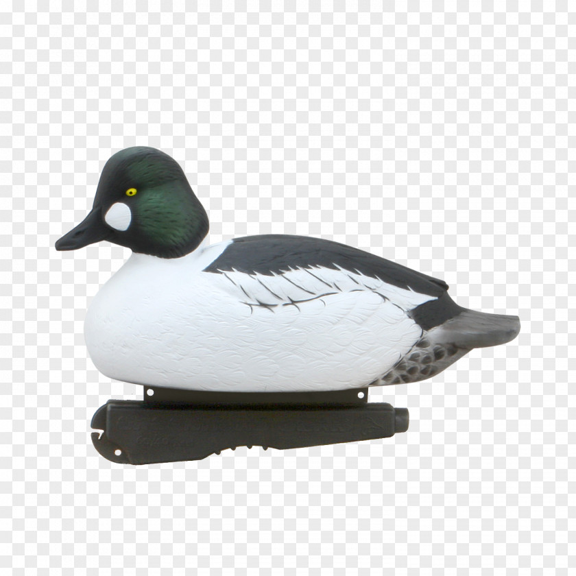 Duck Mallard Decoy Danish Krone DK Waterfowl-Archery Import I/S V/Dennis Paulsen Og Eric PNG