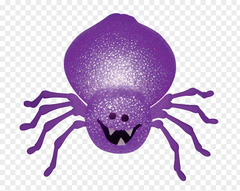 Halloween Spider PNG
