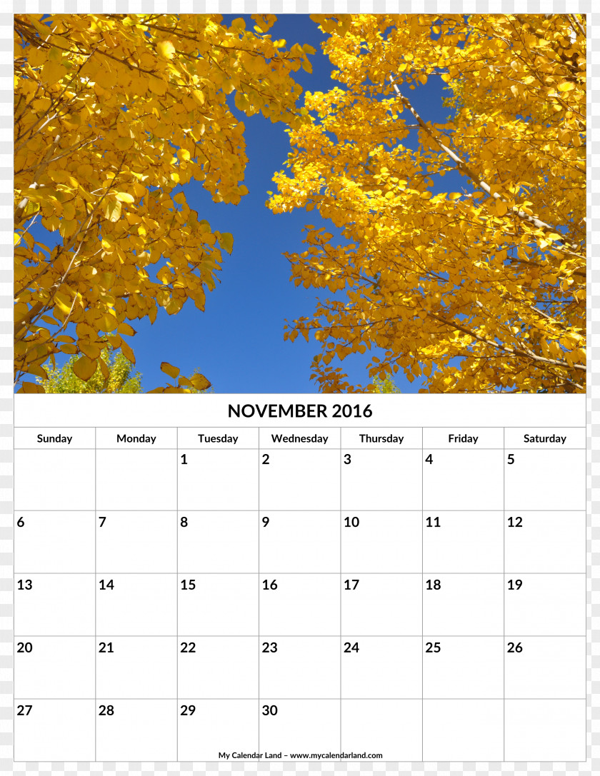 November Calendar Leaf Autumn Yellow Deciduous PNG