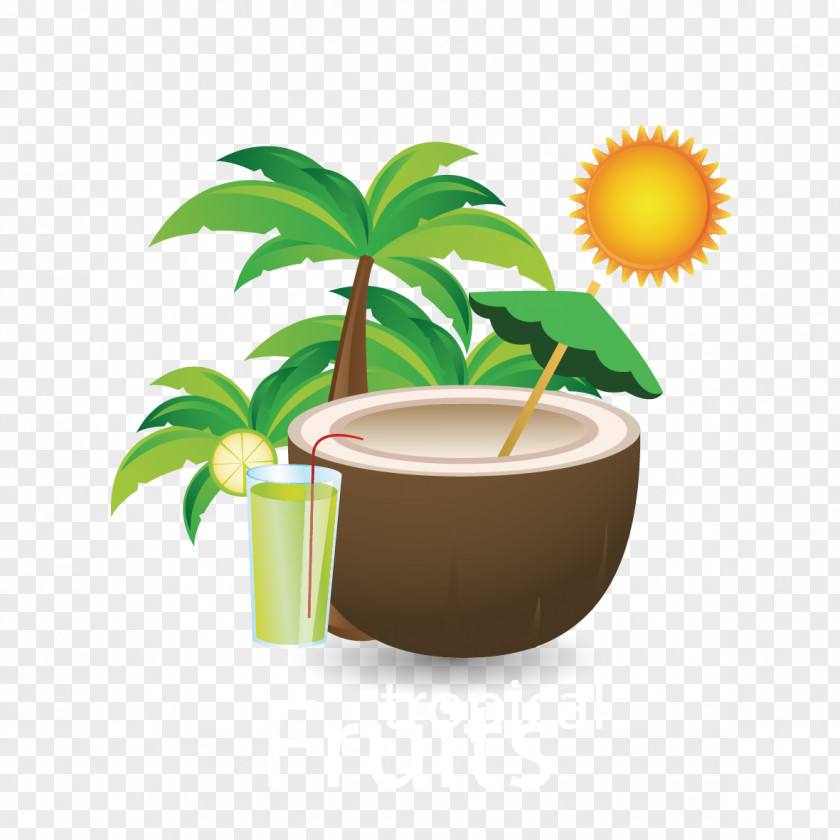 Vector Coconut Trees And Milk Juice Water PNG