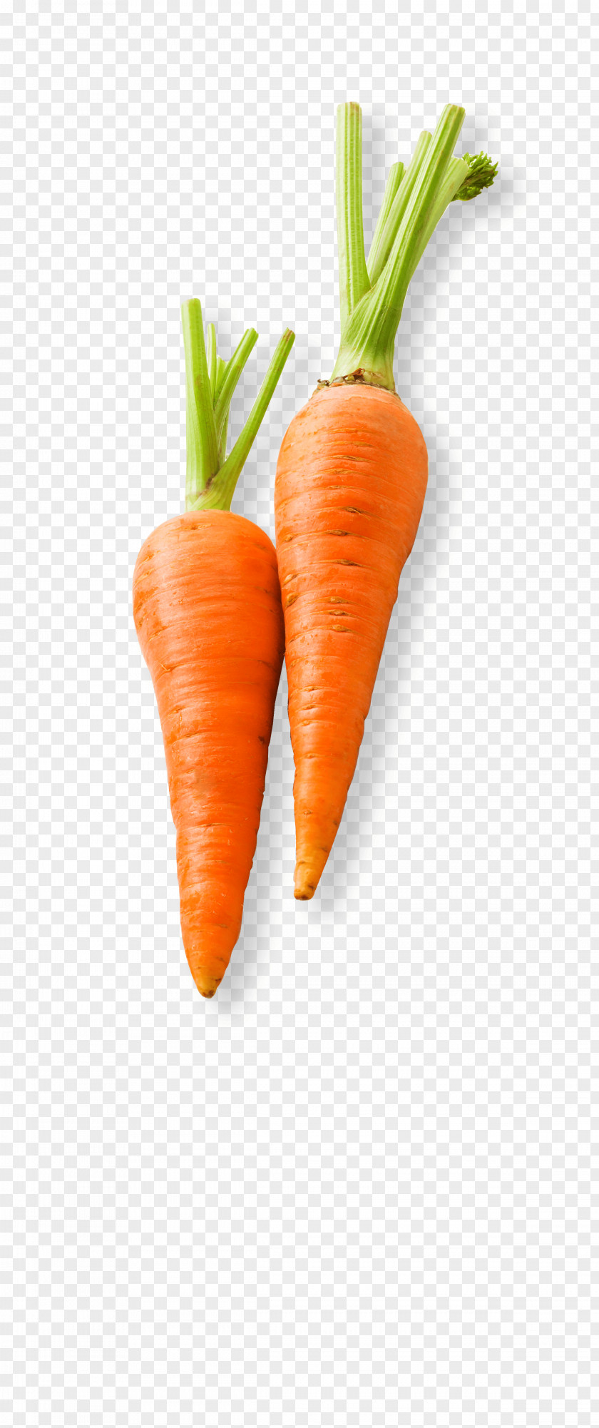 Carrot Baby Vegetable Food Cake PNG