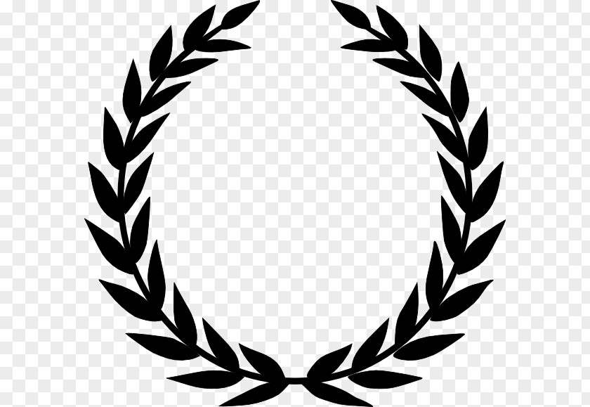 Cartoon Olive Laurel Wreath Bay Clip Art PNG