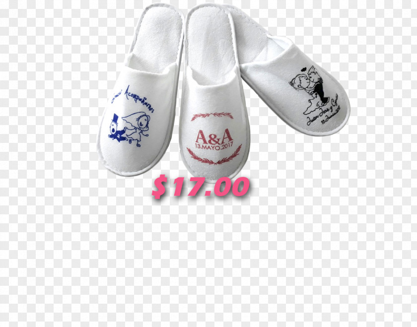 Design Slipper Shoe PNG