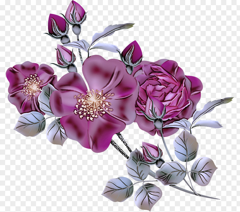 Flowering Plant Lilac Flower Purple Cut Flowers Petal Violet PNG