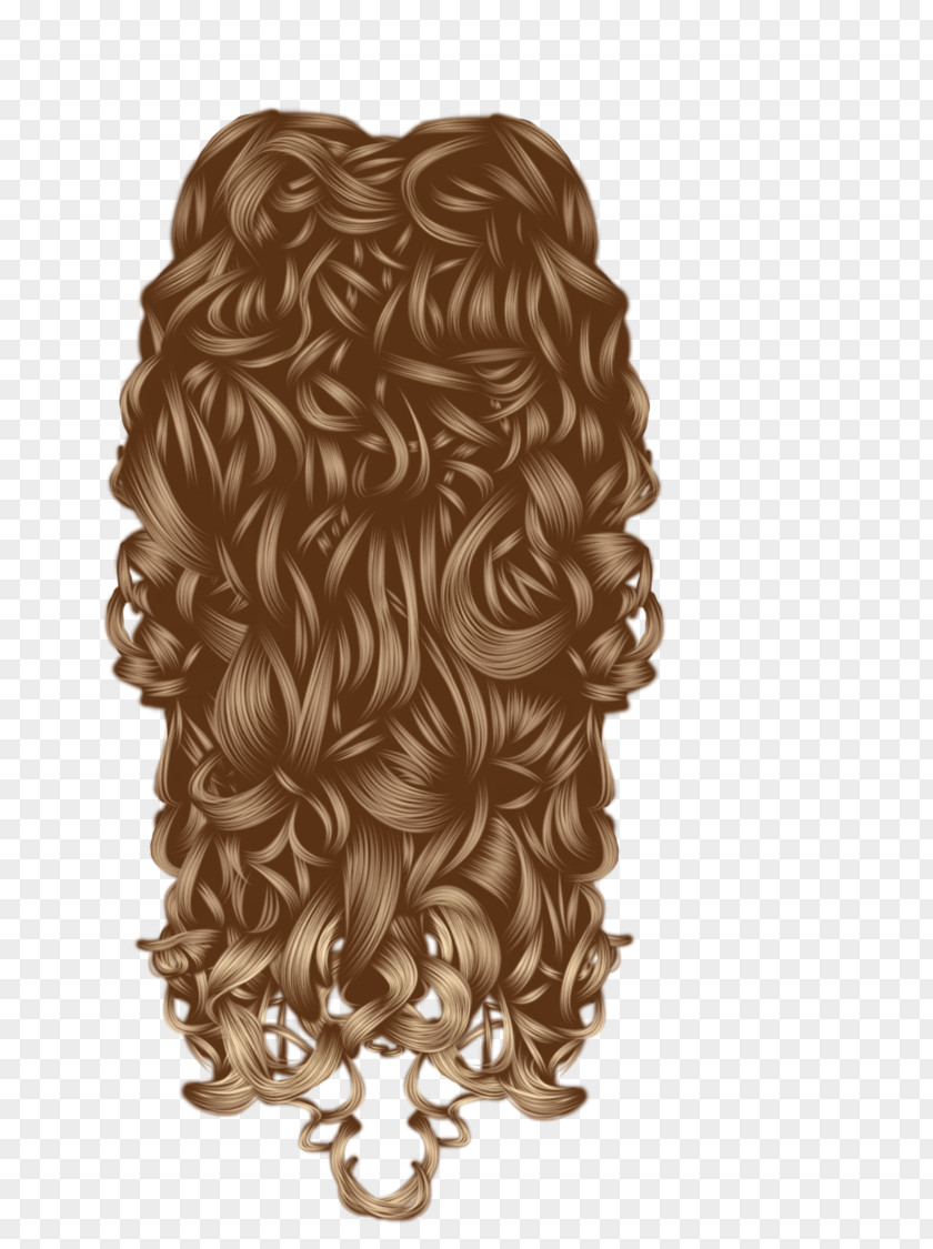 Hair Wig Coloring PNG
