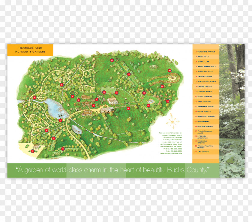 Leaf Ecosystem Urban Design Land Lot Map PNG