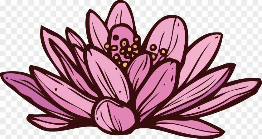 Lotus Spa Floral Design Nelumbo Nucifera PNG