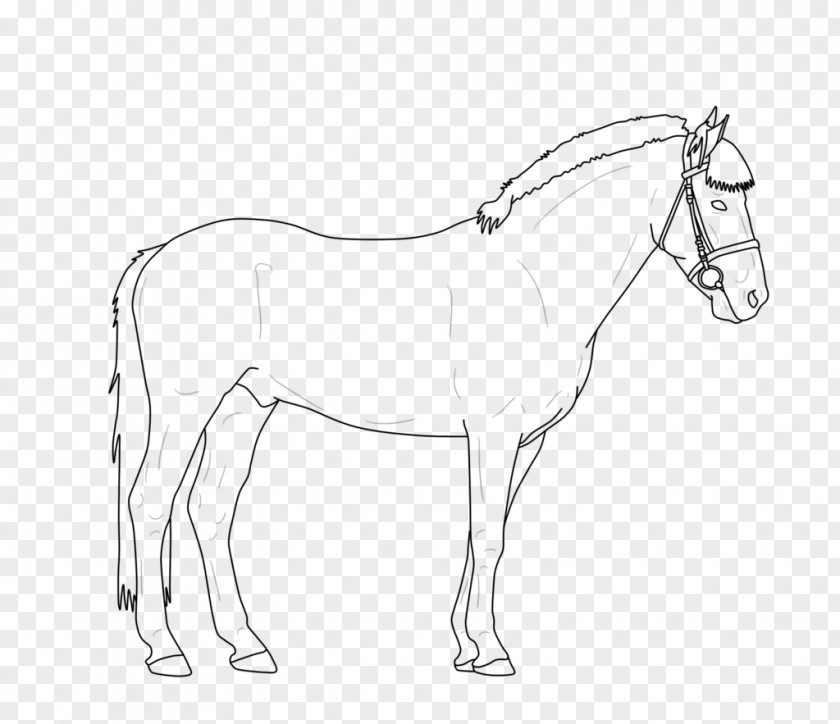 Scenery Line Drawing North American Sportpony Art Mule Connemara Pony PNG