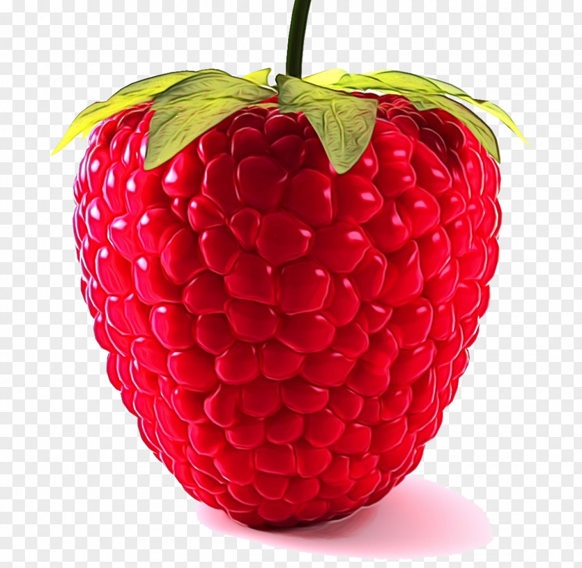 Seedless Fruit Plant Strawberry PNG