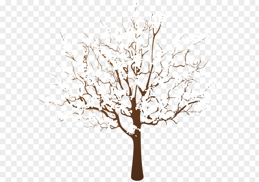 Winter Thursday Cliparts Drawing Trees Clip Art PNG