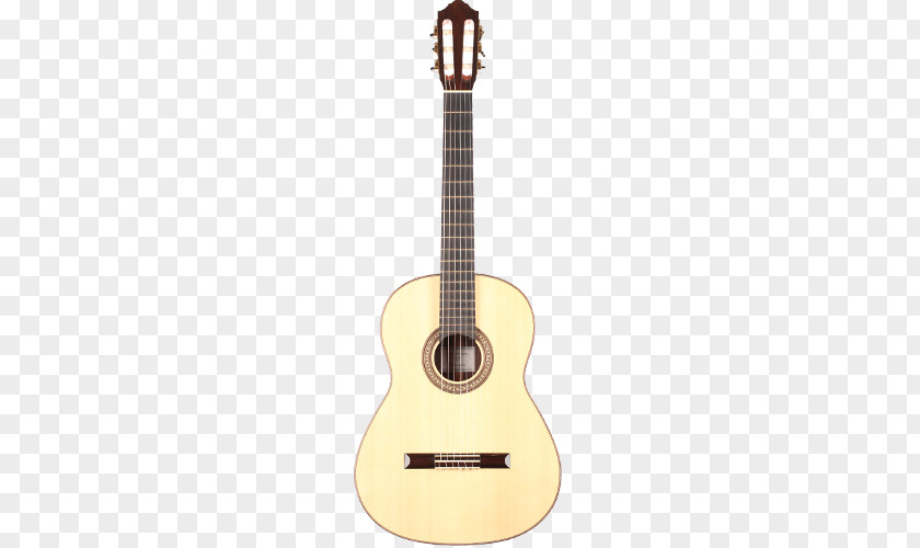Acoustic Guitar Ukulele Tiple Cavaquinho Cuatro PNG