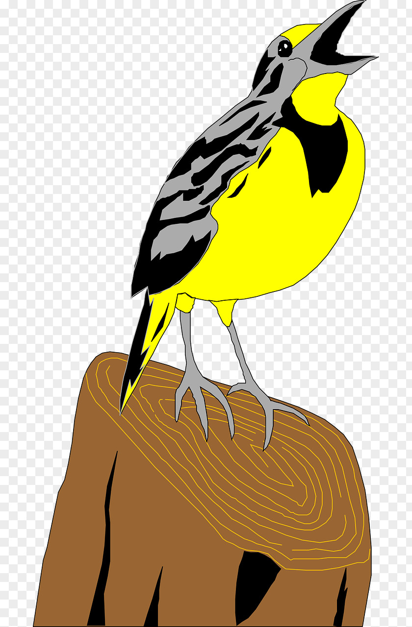 Birds Flappet Lark Bird Clip Art PNG