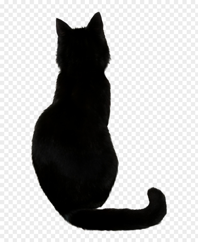 British Shorthair Blackandwhite Cat Silhouette PNG