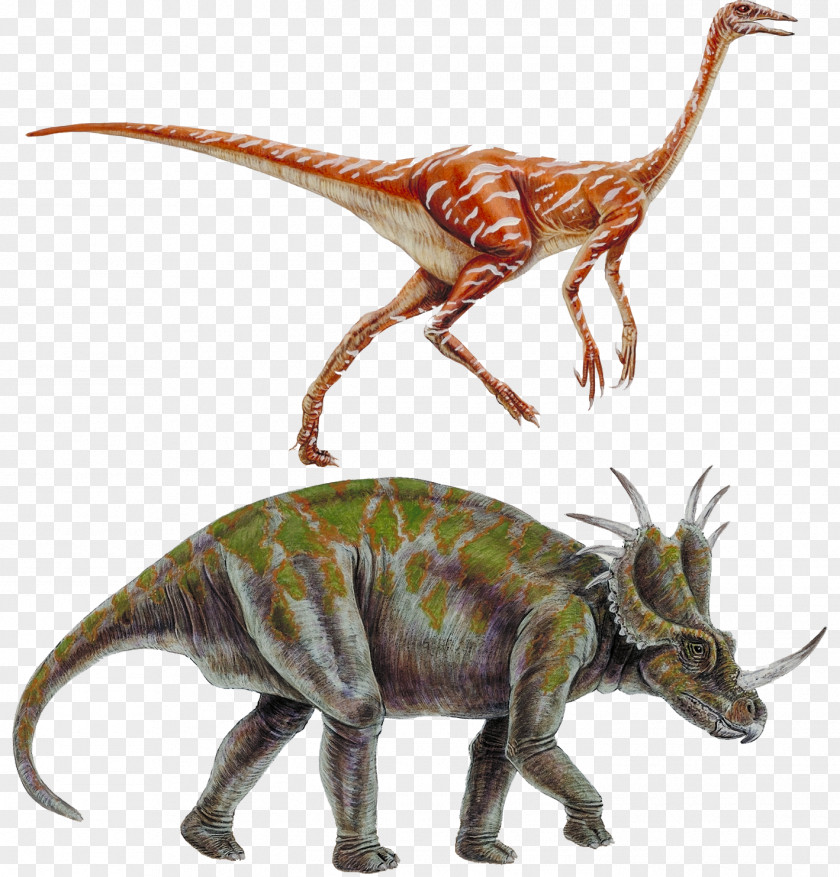 Cretaceous Dinosaur Styracosaurus Tyrannosaurus Ornithomimus Ceratopsia PNG