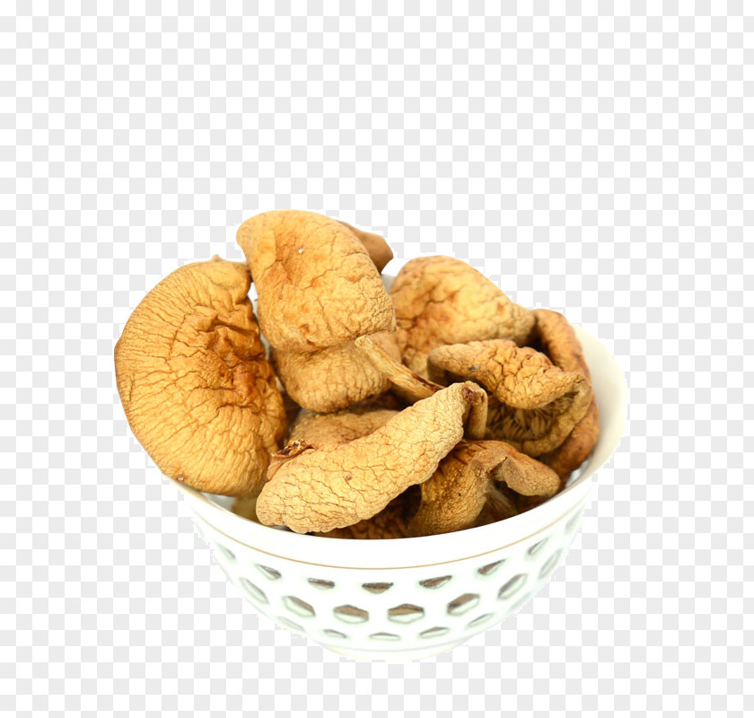 Dried Mushrooms Kombucha Mushroom Fungus Food Drying PNG