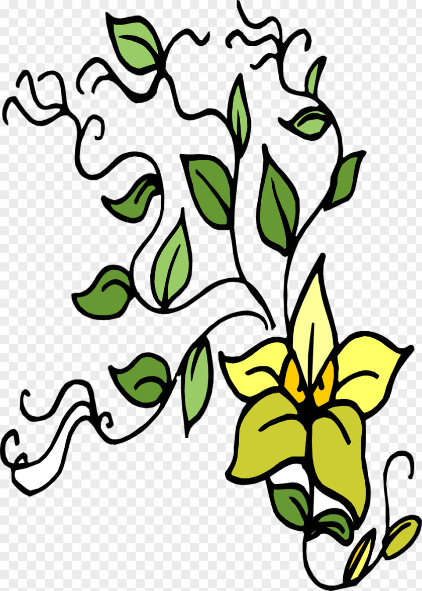 Flower Illustration Plant Tree Leaf PNG