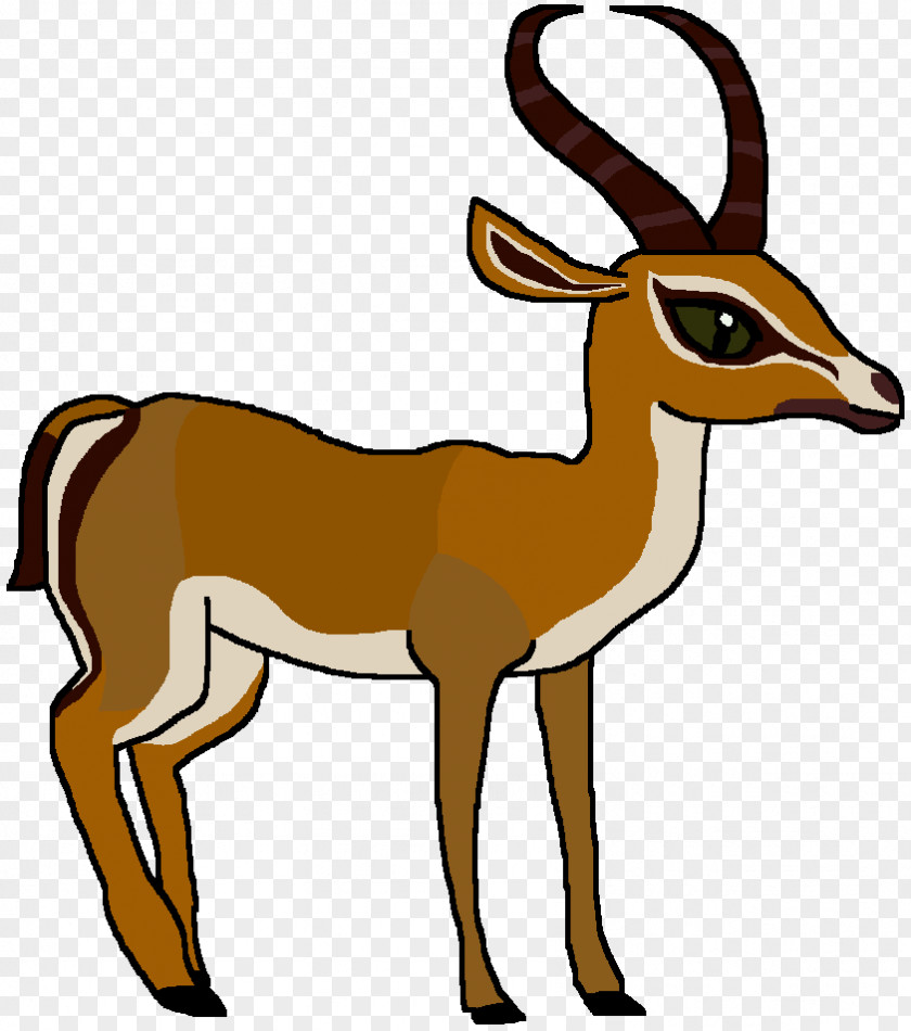 Gazelle Springbok Antelope Impala Clip Art PNG