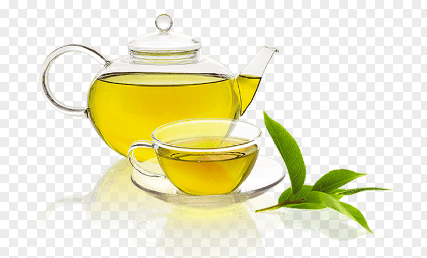 Green Tea Fizzy Drinks Food PNG