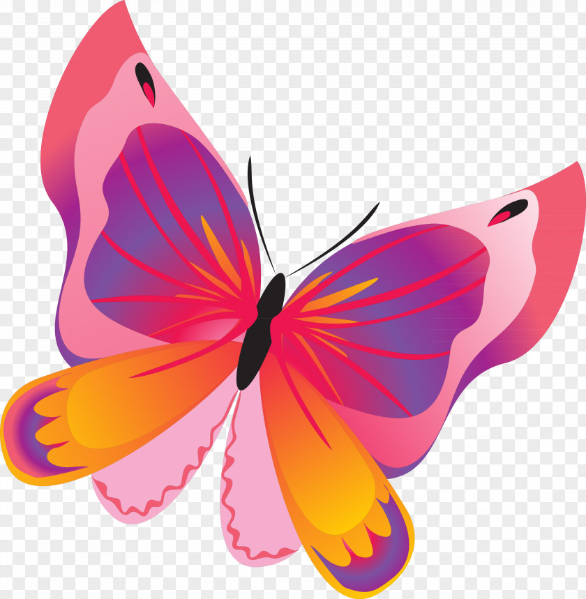 Red Butterfly Butterflies And Moths Brothers Grimm Yandex Search Clip Art PNG