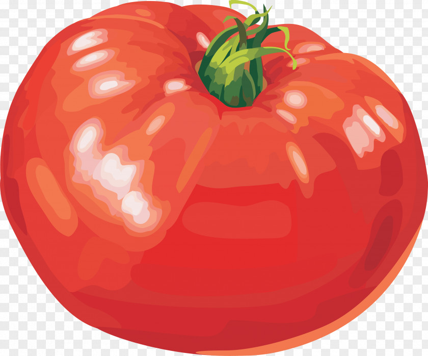 Tomato Image Clip Art PNG