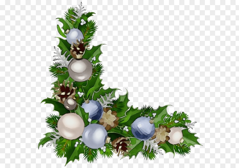 Vascular Plant Pine Family Christmas And New Year Background PNG