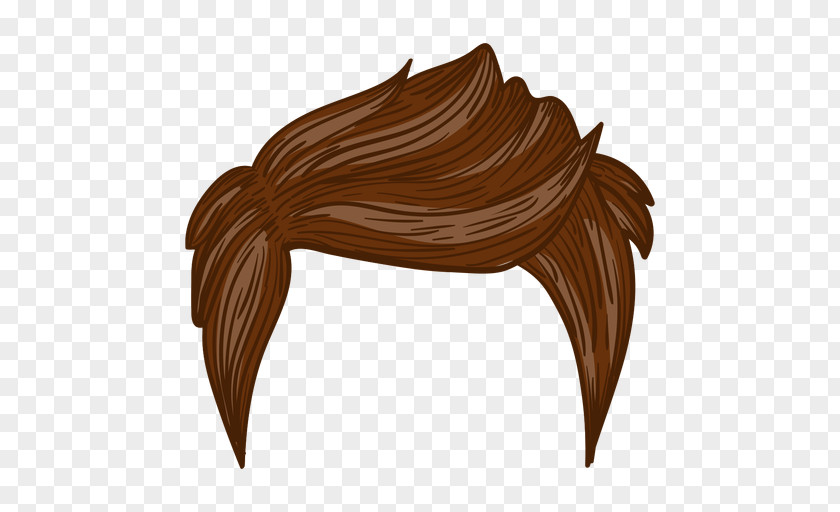 Hairstyle Image Design Illustration PNG