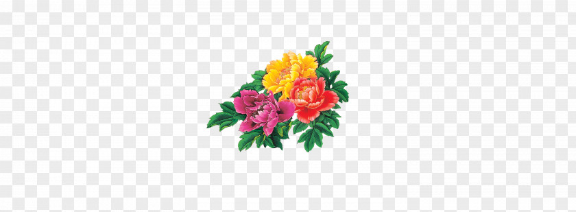 Peony Floral Design Cut Flowers Petal Wallpaper PNG