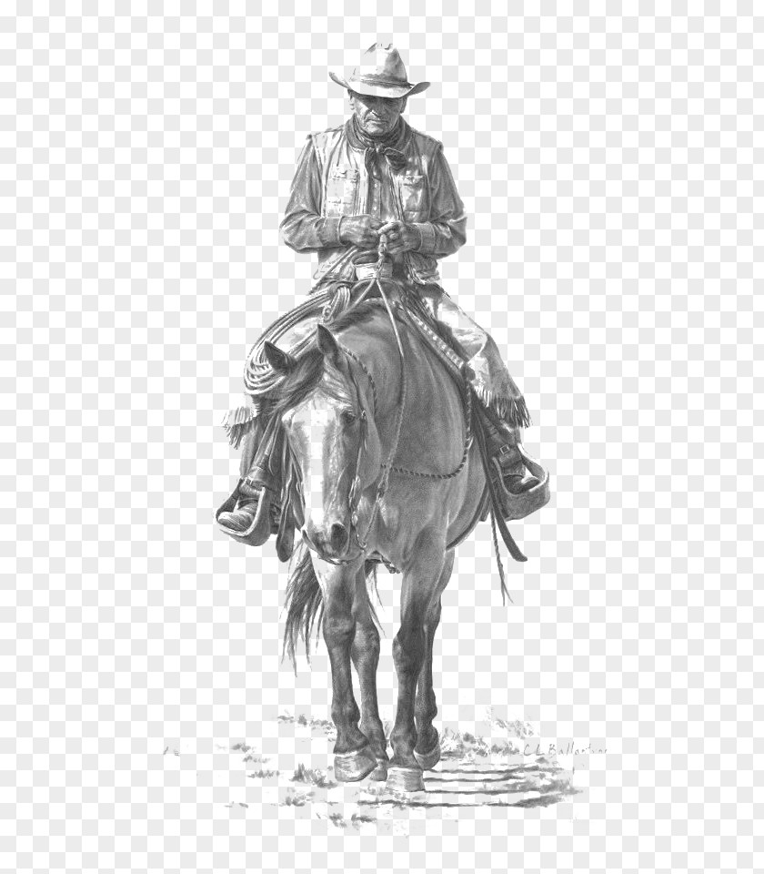 Rider Horse American Frontier Cowboy Drawing PNG