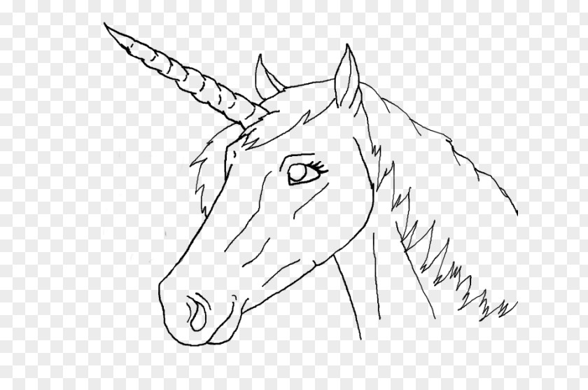 Unicorn Head Horse Line Art Drawing Clip PNG