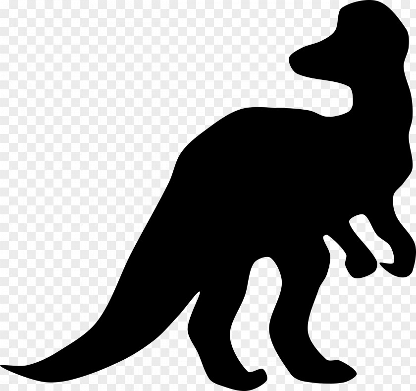 Animal Silhouettes Tyrannosaurus Stegosaurus Corythosaurus Velociraptor Triceratops PNG