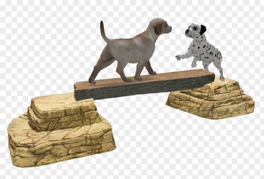 Dog Park Agility Balance Beam PNG