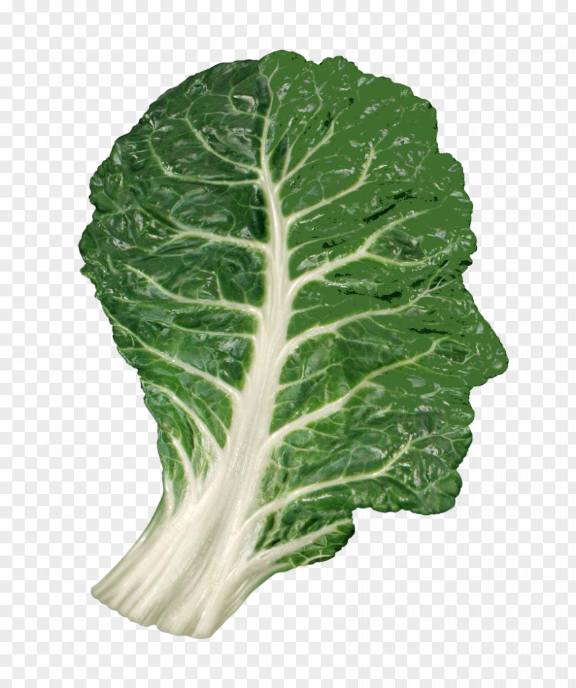 Face Vegetable Leaves Organic Food Leaf Human Head Brain PNG