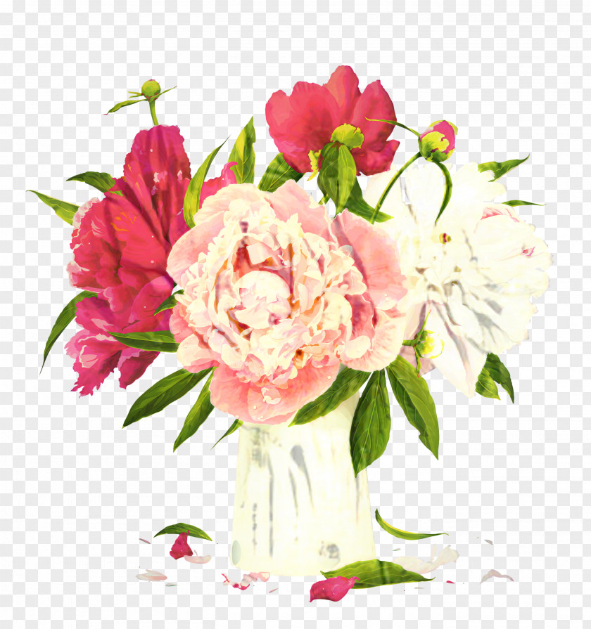Peony Clip Art Vector Graphics Transparency PNG