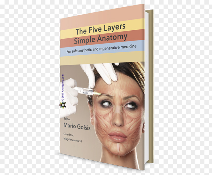 Face Anatomy The Five Layers Simple Anatomy: For Safe Aesthetic And Regenerative Medicine Mario Goisis Eyebrow Botulinum Toxin PNG